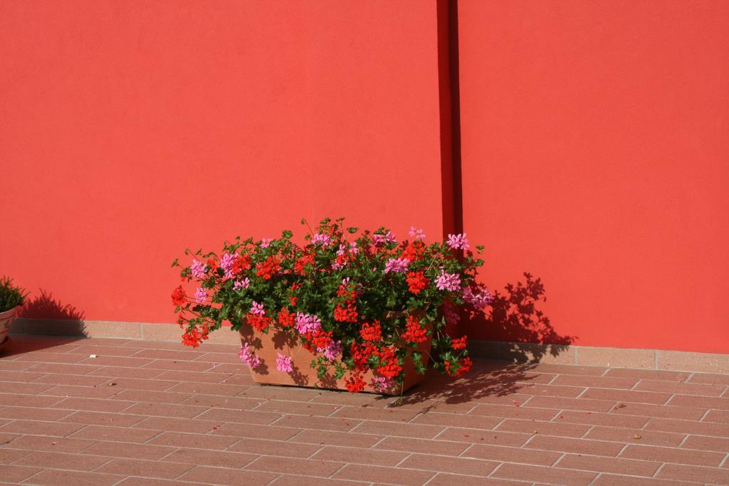 Dolce Casa Διαμέρισμα Μαργκέρα Εξωτερικό φωτογραφία